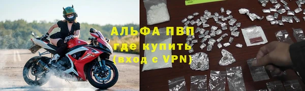 стафф Елизово