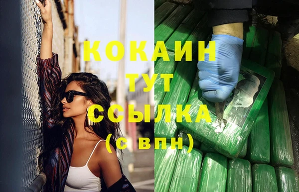 дурь Заводоуковск
