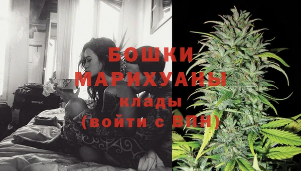 дурь Заводоуковск