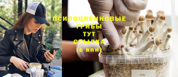 прущие крисы Заволжск