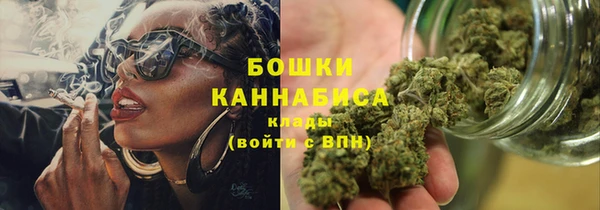 мет Ельня